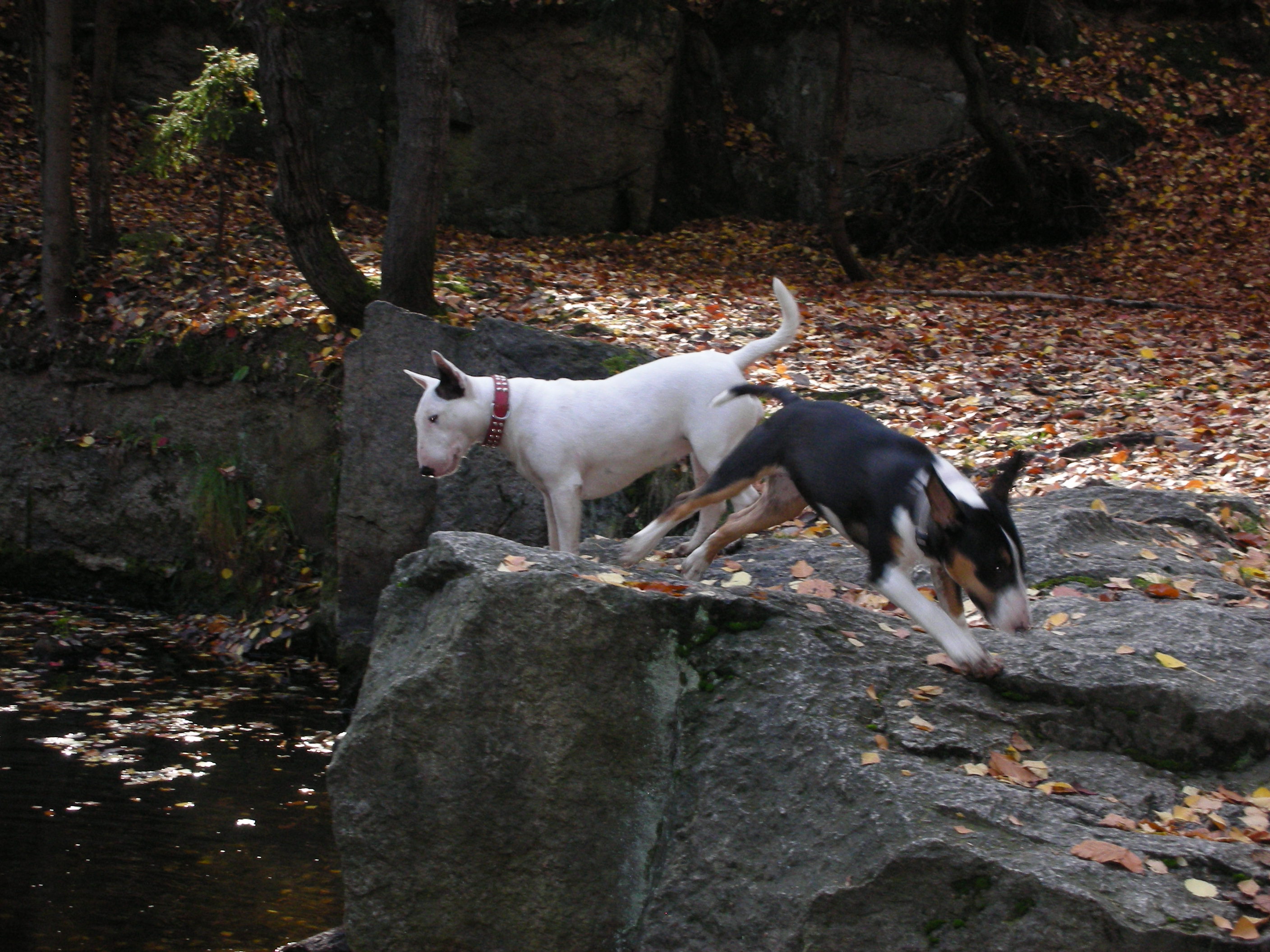 výstava Bači 056.jpg
