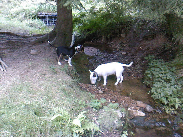 SP_A0503.jpg