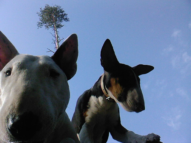 SP_A0508.jpg