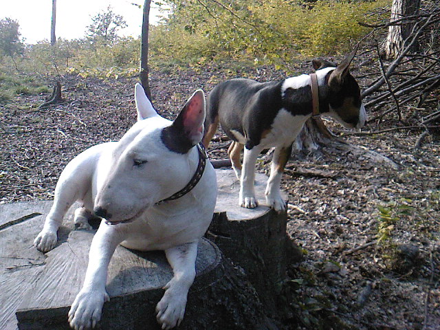 SP_A0511.jpg